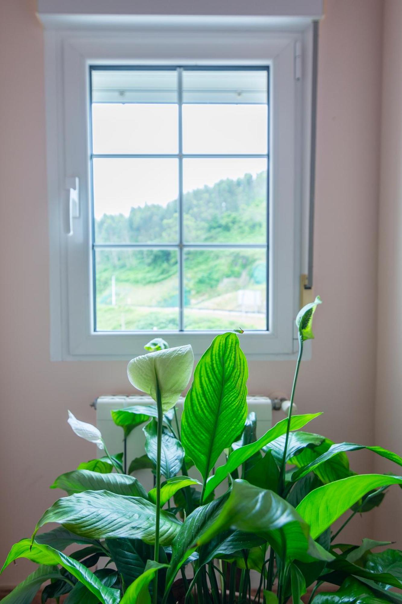 Liencres Apartamentos Eksteriør billede